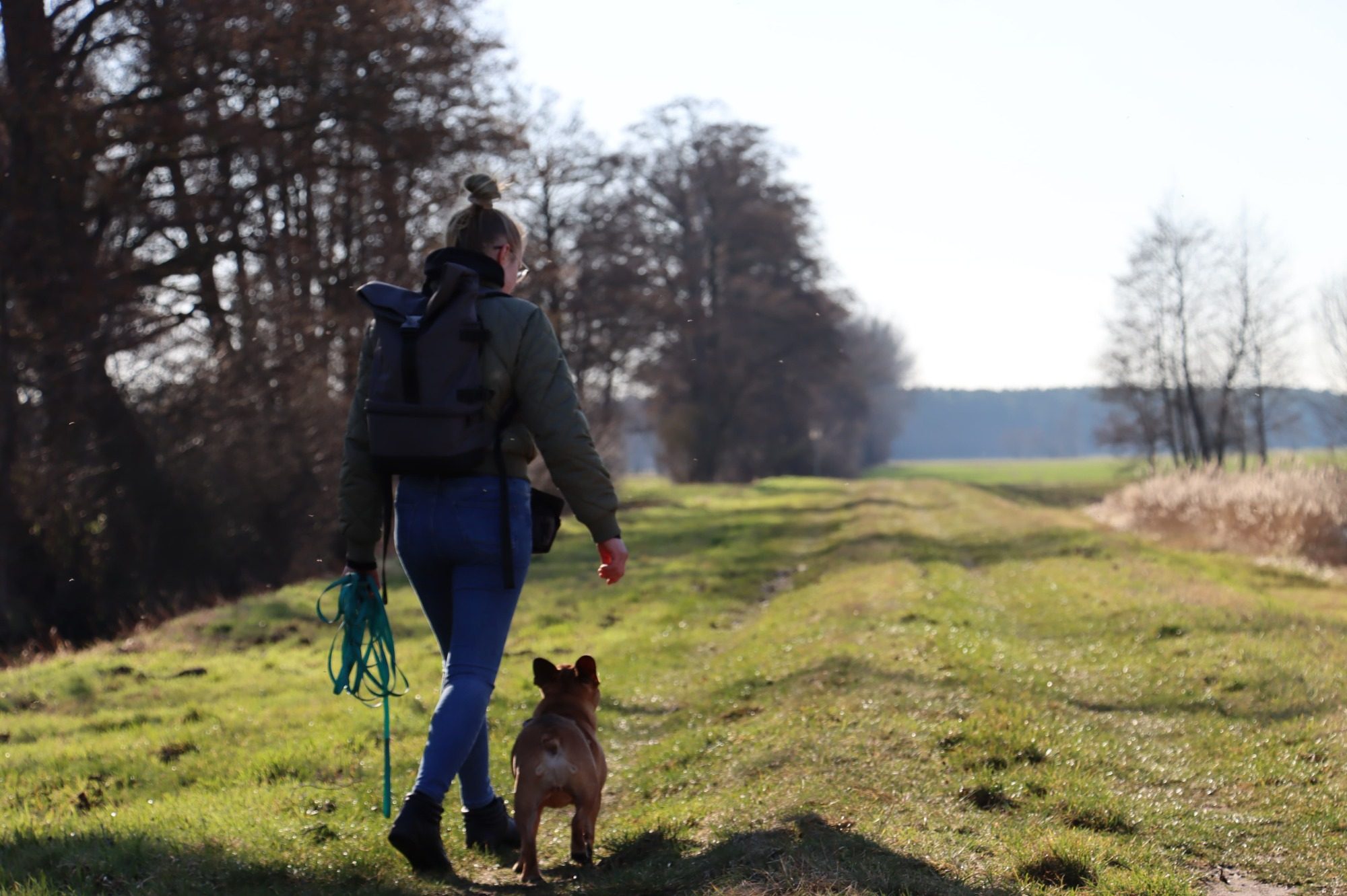 Zwei Hunde in einem Gruppenkurs in Berlin